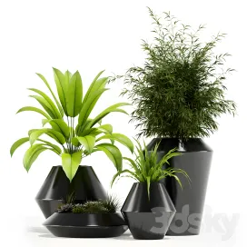 Plants collection westelm modern planters